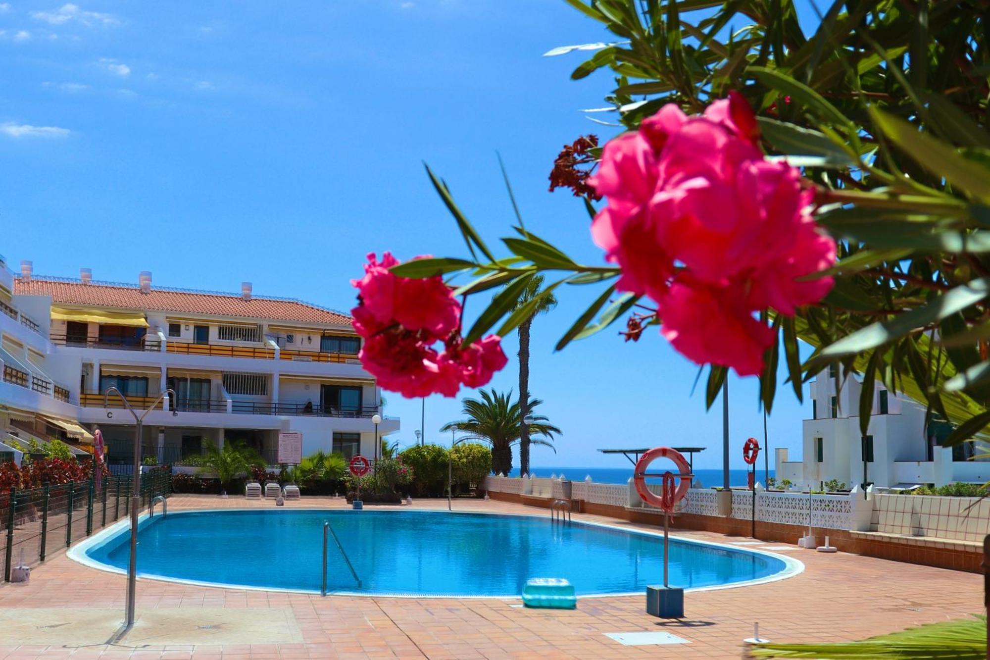 Sunflower Apartment Just Relax Puerto de Santiago  Kültér fotó